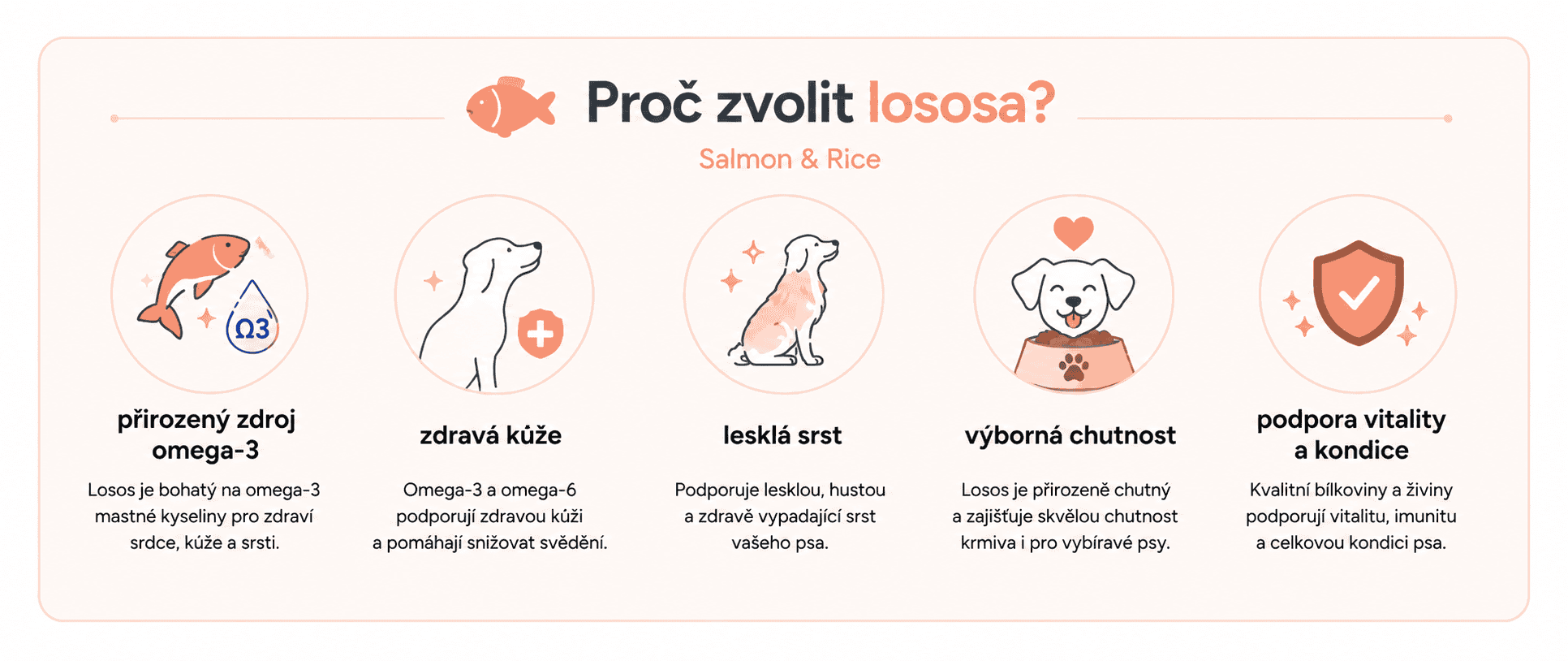 proč zvolit lososa